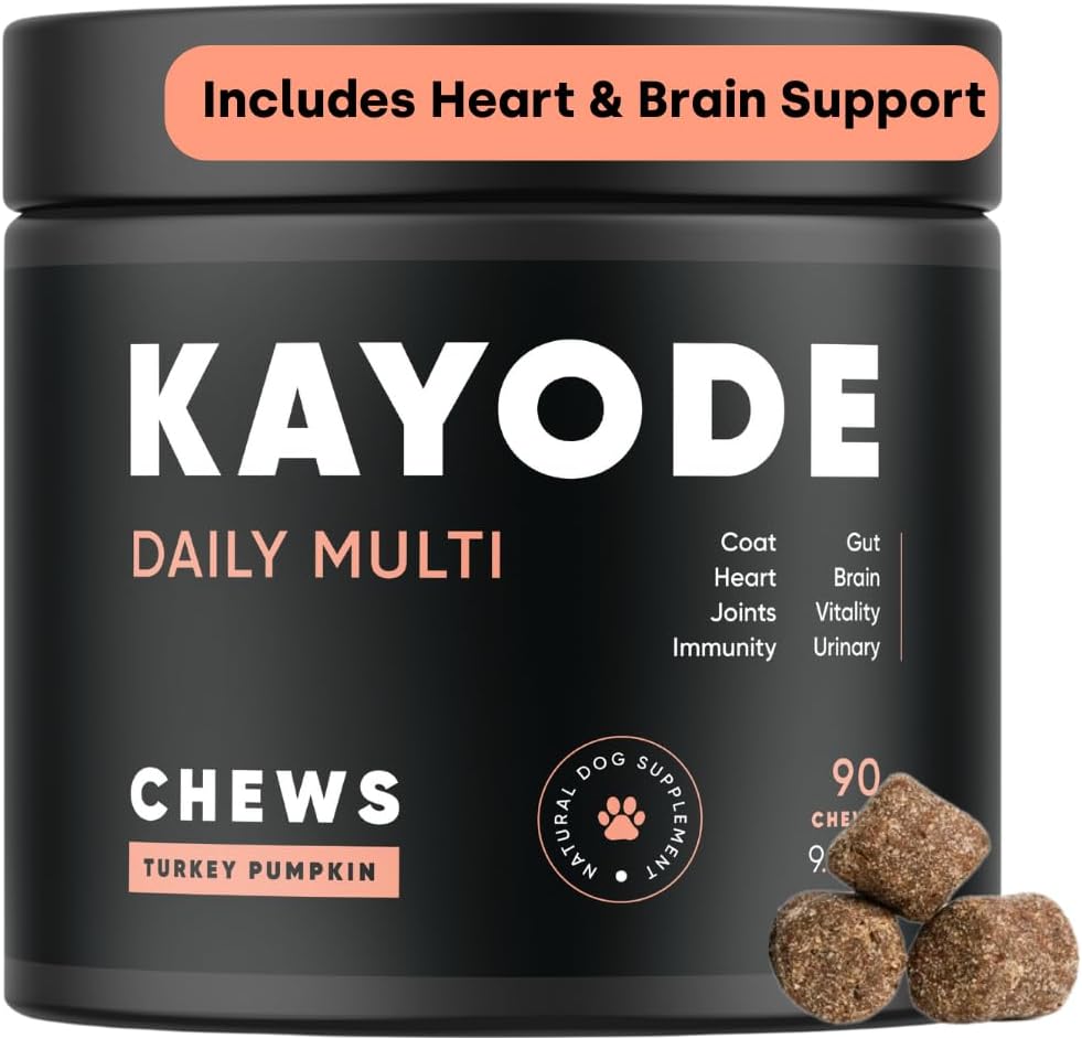 Kayode Daily Multi - pes Multivitamín a superfood žuvačka. Vyplňte Nutrient Gaps. Pomáha kĺby, Trávenie, srdce, mozog, močové a ďalšie. Pridať Nutrients Dog Food Misses. Skvelé aj pre šteniatka.
