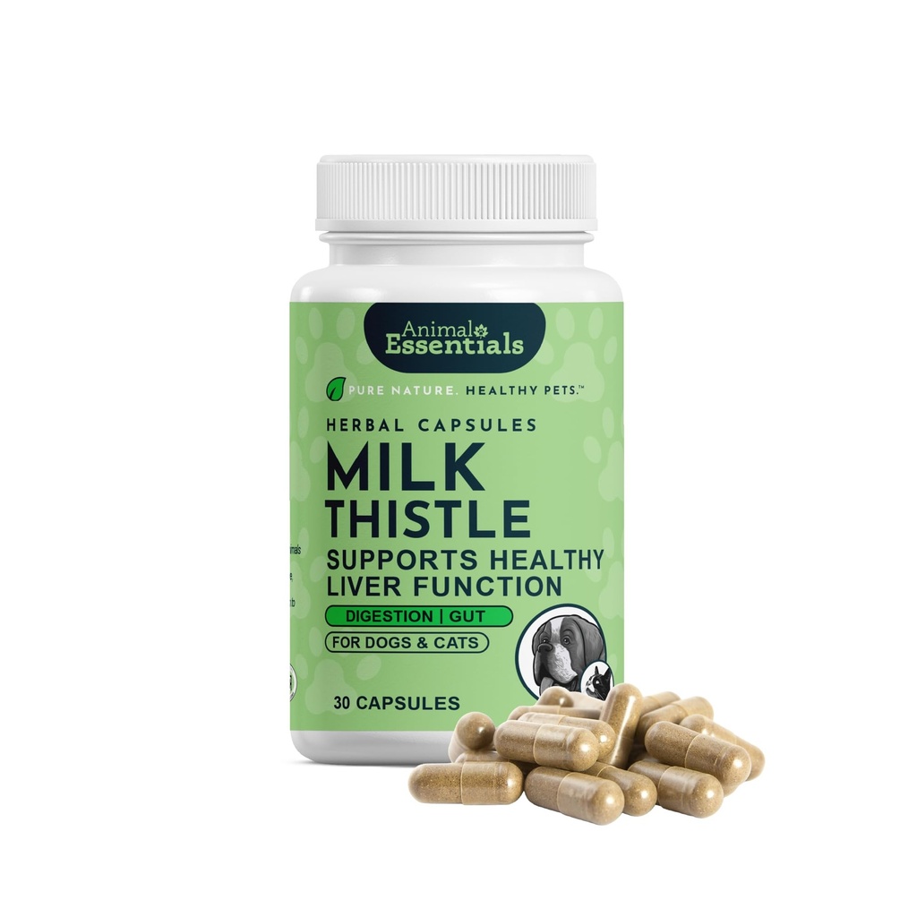 Animal Essentials Milk Thitle for Psi & Mačky - Podpora pečene, Milk Thitle 150mg, Silymarin, Pečeň Supplement, Bylinné kapsule, Organic Human Grade Herbs, Veterinarian Odporúčané - 30 Počet