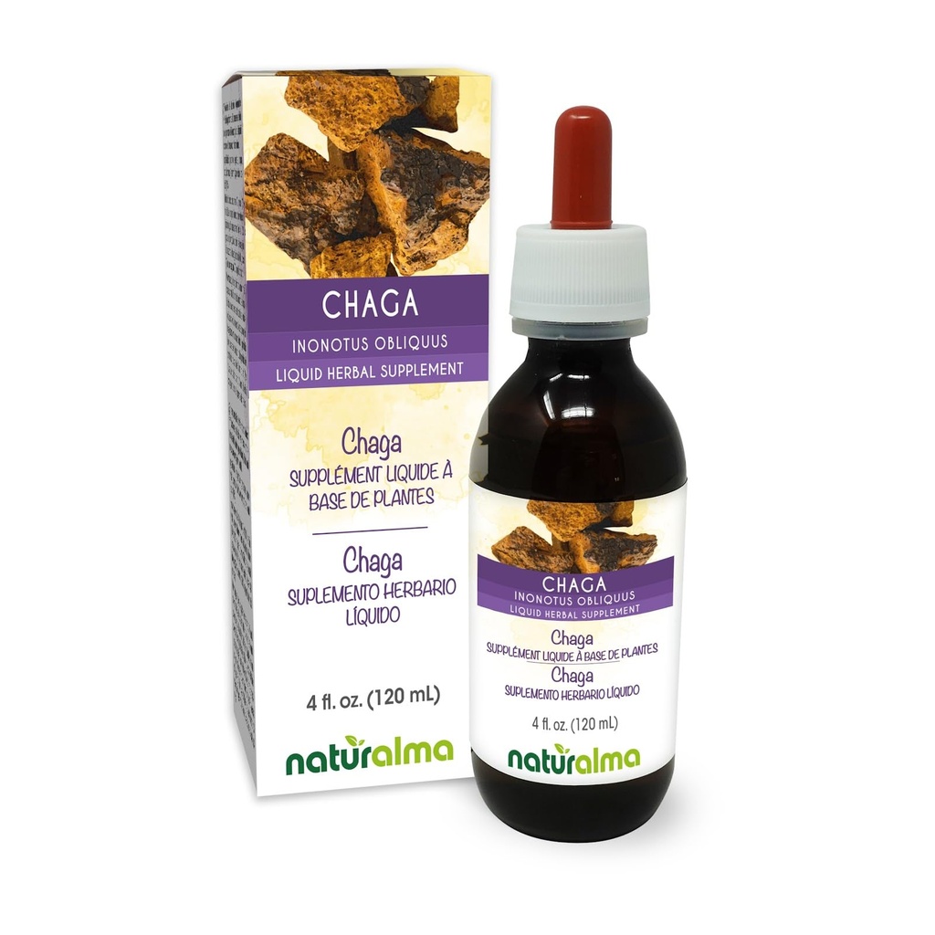 Naturalma Chaga (Inonotus obliquus) Fungus alebo Huba Alkohol-Free Tinture - 4 fl oz Liquid Extract in Drops - Bylinné doplnky - Vegan