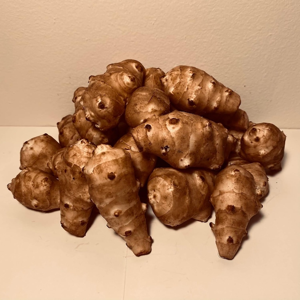 Sunchokes Adama Foods - 2 1/2 libier (2,5 libier) pre Planting alebo jesť FEDEX 2deň