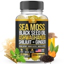 Morské machy, olej z čiernych semien, Ashwagandha, Ginger, Shilajit Gumies s bazami, Chlorofyl, Turmeric Bladderwrack Sea Moss Gummies Advanced Strength Formula - všetko v 1 Bundle - USA Made (60 Gummies)