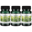 Swanson Black Ginger Extract - podporuje zdravú cirkuláciu krvi a fyzickú vigor - Môže pomôcť zdravie srdca, svalového tkaniva, a duševné pohodu - (30 Veggie kapsule, 100mg Každý) (3 balenie)