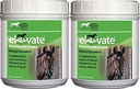 Kentucky Performance Products 2 Balenie s vyvýšeným výkonom údržby, 2 libry Každý, prírodný vitamín E kone doplnok