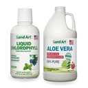 Land Art Aloe Vera Juice - Pomegranate Ochutené - spracované za studena - Vnútorný súbor z ekologických čerstvých listov - 64floz + Tekutý chlorofyl mint Ochutené - studené extrahované z voľne žijúcich ne-GMO lucerna - 16floz