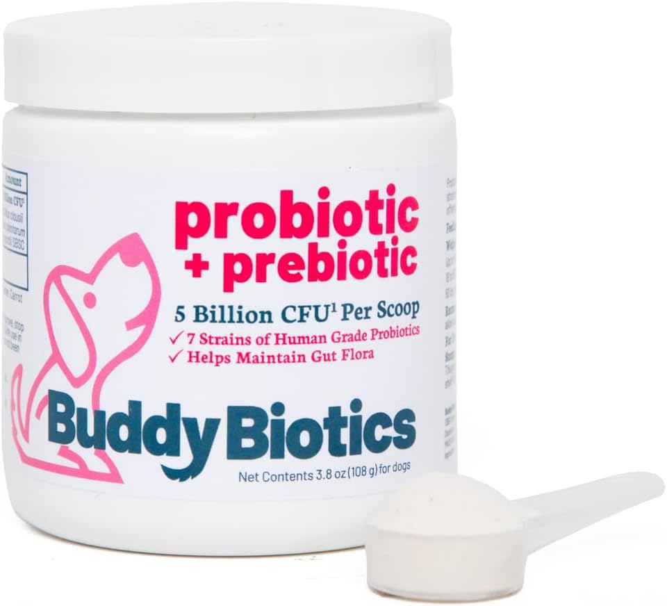 Buddy Biotics Probiotic + Prebiotikum pre psy- Gut Flora zdravie, trávenie a imunitné zdravie, hnačka a Bowel Podpora 5 miliarda CFU na Scoop