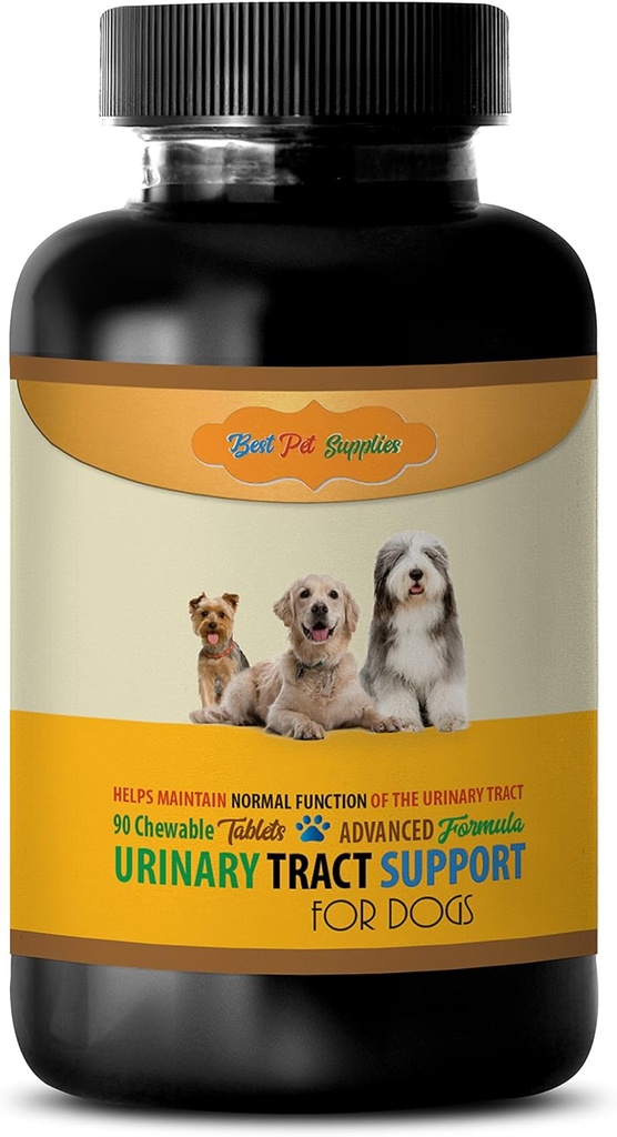 Podpora močového mechúra pre psy - Psy Urinary Tract Support - Udržujte zdravotné funkcie - CHOWABLE - uva Ursi pre psy - psie doplnky a vitamíny - psie vitamíny a multivitamíny - 90 Treats (1 fľaša)