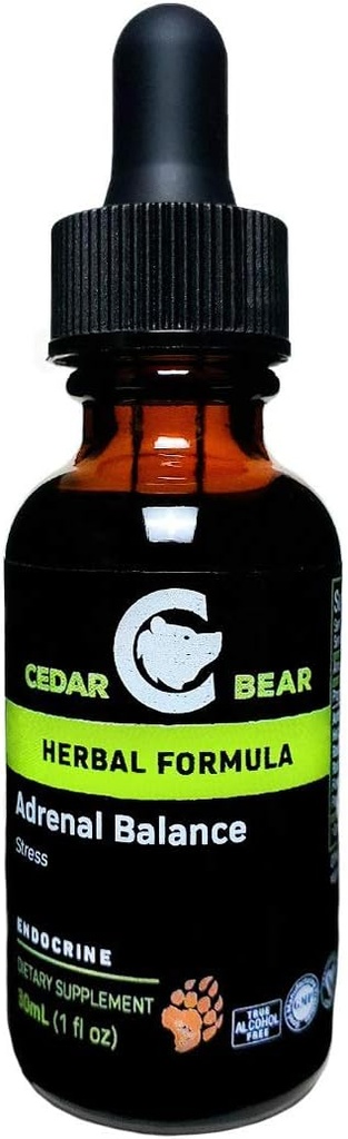 Cedar Bear Adrenal Balance - Tekuté bylinné doplnky s adaptogénmi, ktoré bojujú s únavou, riadiť stres a zvýšiť energiu 1 fl oz / 30 ml