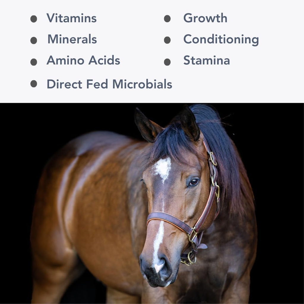Mega-Mag (35lb) Vyvážené Multivitamínové/minerálne doplnok pre lucernu seno...
