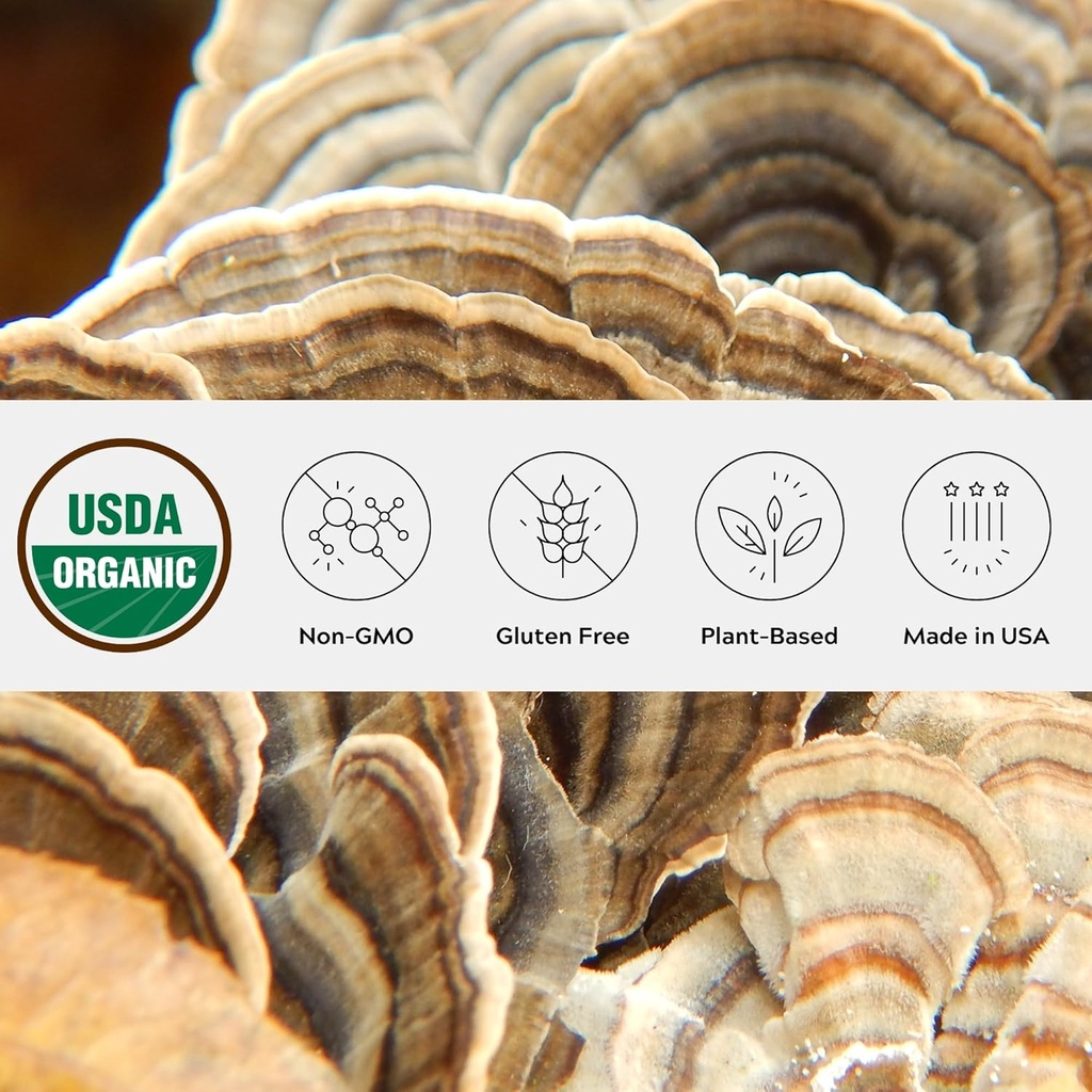 Organické Turecko chvostové huby prášok, single Estate, non-GMO - Gut, Energy, Mozog, & Immune Support - Vegan Huba Supplement in a Reselable Glass Jar