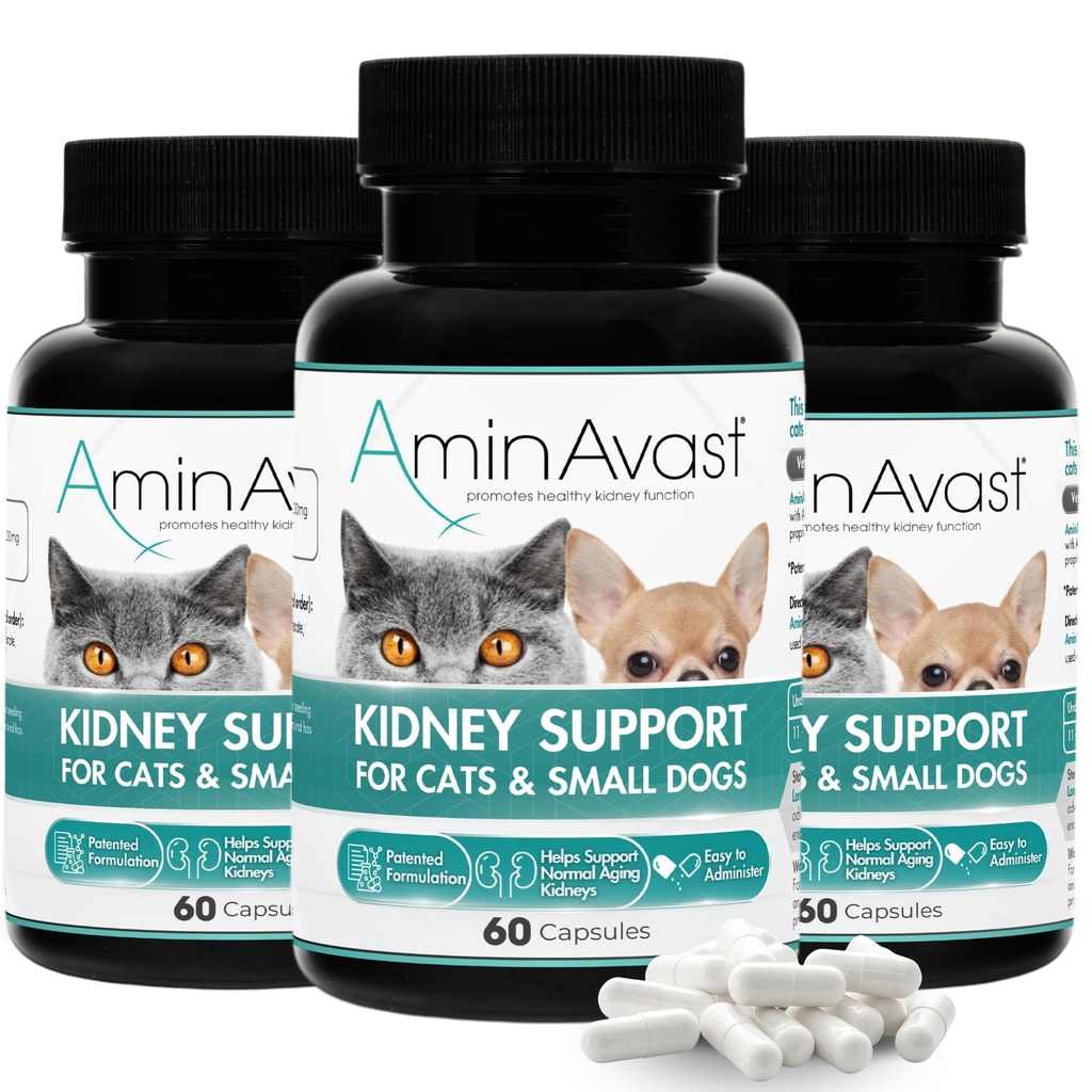 AminAvast Oblička podpora doplnok pre mačky a malé psy, 300mg 3-Pack - Podporuje prírodné funkcie obličiek - Aids in Health and Vitality of Aging Obličky - Jednoduché podanie - 60 Kropiť kapsule
