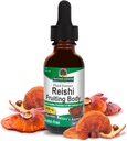 Nature's Answer Alkohol-Free Reishi Extract Ovocné telo, 1-Fluid Ounce Liquid Extract Immune System Builder