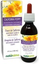 Naturalma Eschscholzia (Eschcholzia californica) bylina Tinktúra bez alkoholu - 4 fl oz Tekutý extrakt v kvapkách - Bylinné doplnky - Vegan
