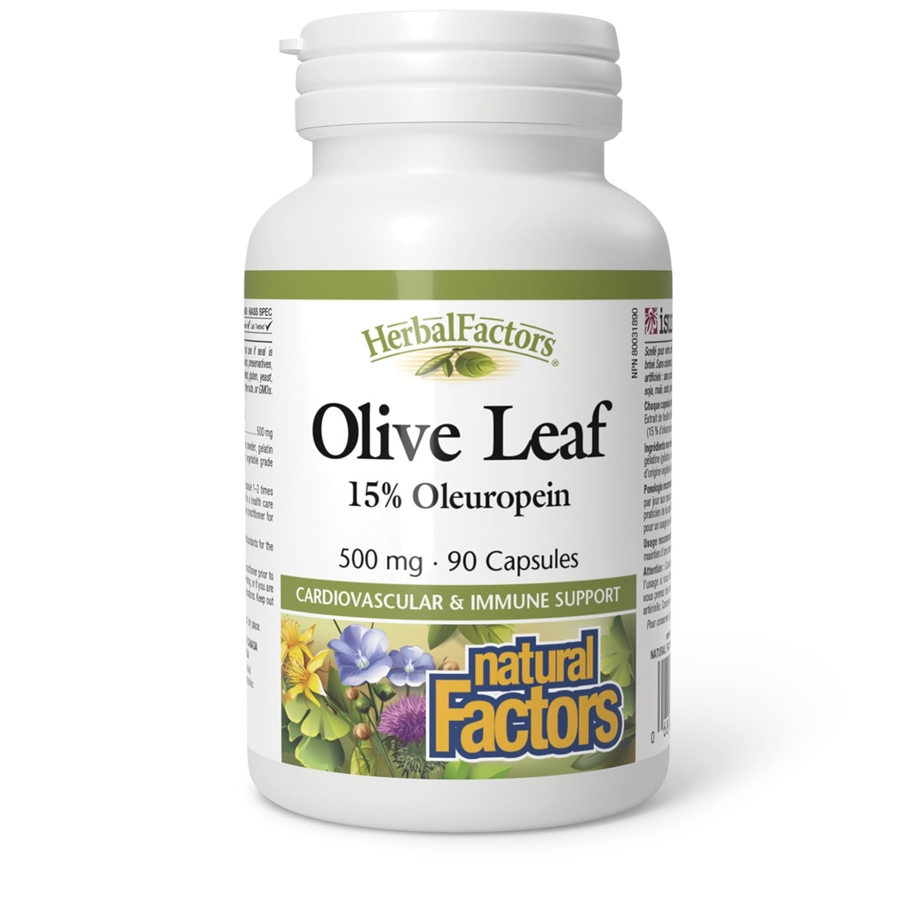 Bylinné Factors podľa prírodných faktorov, Olive Leaf 500 mg, Natural Wellness Formula, 90 Kapsule