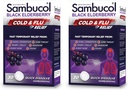 Sambucol Cold and Flu Relief Tablets - Homeopatické Cold Medicine, Nasal & Sinus Congestion Relief, Použitie pre Runny Nose, Kašeľ, Cold Remedy pre dospelých - Black Elderberry, 30 Počet, 2-Pack
