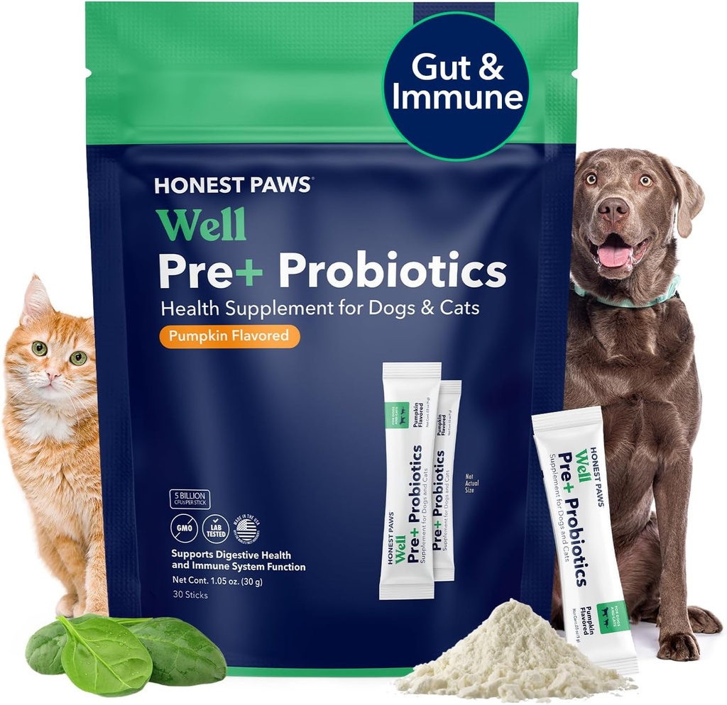 Čestné Paws Probiotiká pre psy - Psie digescie Gut Zdravie Probiotický prášok s prebiotikom Vyrobené v USA, Tráviace a imunitnej podpory - Tráviace enzýmy s tekvicovou príchuťou (30 Sticks)
