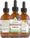 RawGuru Organic Mushrom Complex Tinture - Organic Mushroom Extract with Trace Minerals - Nano-Processed Cognitive & Immune Suplement - 60 Servings of Vegan Drops per 60 ml, Balenie 1
