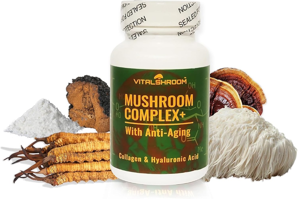Hubový komplex s anti-aging. Natural Mushrom-Based Anti-Aging Doplnky s Chaga, Lion