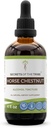 Secrets of the Tribe Horse Chestnut Alkohol Liquid Extract, Horse Chestnut (Aesculus hippocastanum) Supplement Supplement Nut Tincture (4 FL OZ)