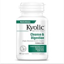 Kjolic Aged cesnak extrakt vzorec 102, Cleanse & Digestion, Ginger and Enzyme Complex, 100 kapsúl