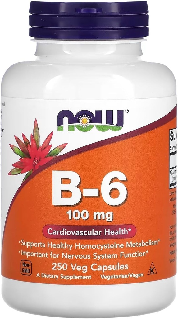 Teraz potraviny Vitamín B-6 250 Kapsule/100mg