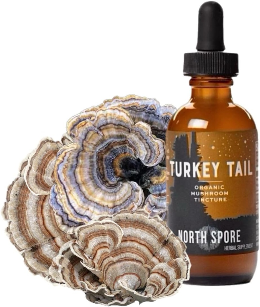 North Spore Organic Turkey chvost Tinture 
