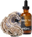 North Spore Organic Turkey chvost Tinture 