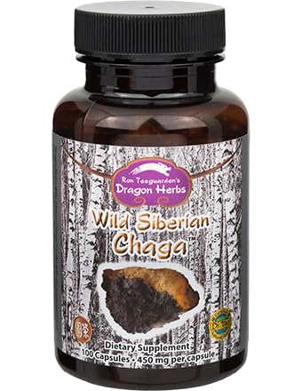 Dragon Herbs - Wild Siberian Chaga Kapsule - 100 Kapsule, 450 mg Každá