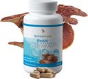 HubaScience Reishi Hubové kapsule, Super sila Full Spectrum Extract, Prírodné Huby Supplement pre dospelých, Hot Water Extracted Huby, Health Support, Vegetarian, 400MG, 90 CT