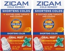 Zicam Cold Remedy Zinok Arctic Mint Oral Mist, 1 Ounce (Pack of 2)
