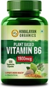 Rastlinné-založené vitamín B6 