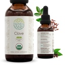 HerbEra Clove B60 USDA Organic Tinture 