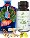 OMNIBREATHE - Rýchle zlepšenie problémy s dýchaním podľa NAC 600MG Scientifically Formulated w. Quercetin/Mullein/Coq 10/Ginger/Stinging Nettle/Bhledain,3 Times w. Jedlo (10-Deň dodávky zvýšiť)