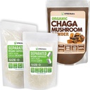XPRS Nutra Oddelená veľkosť 0 Kapsule (1000 Počet) s Chaga Powder (8 Ounce) Bundle