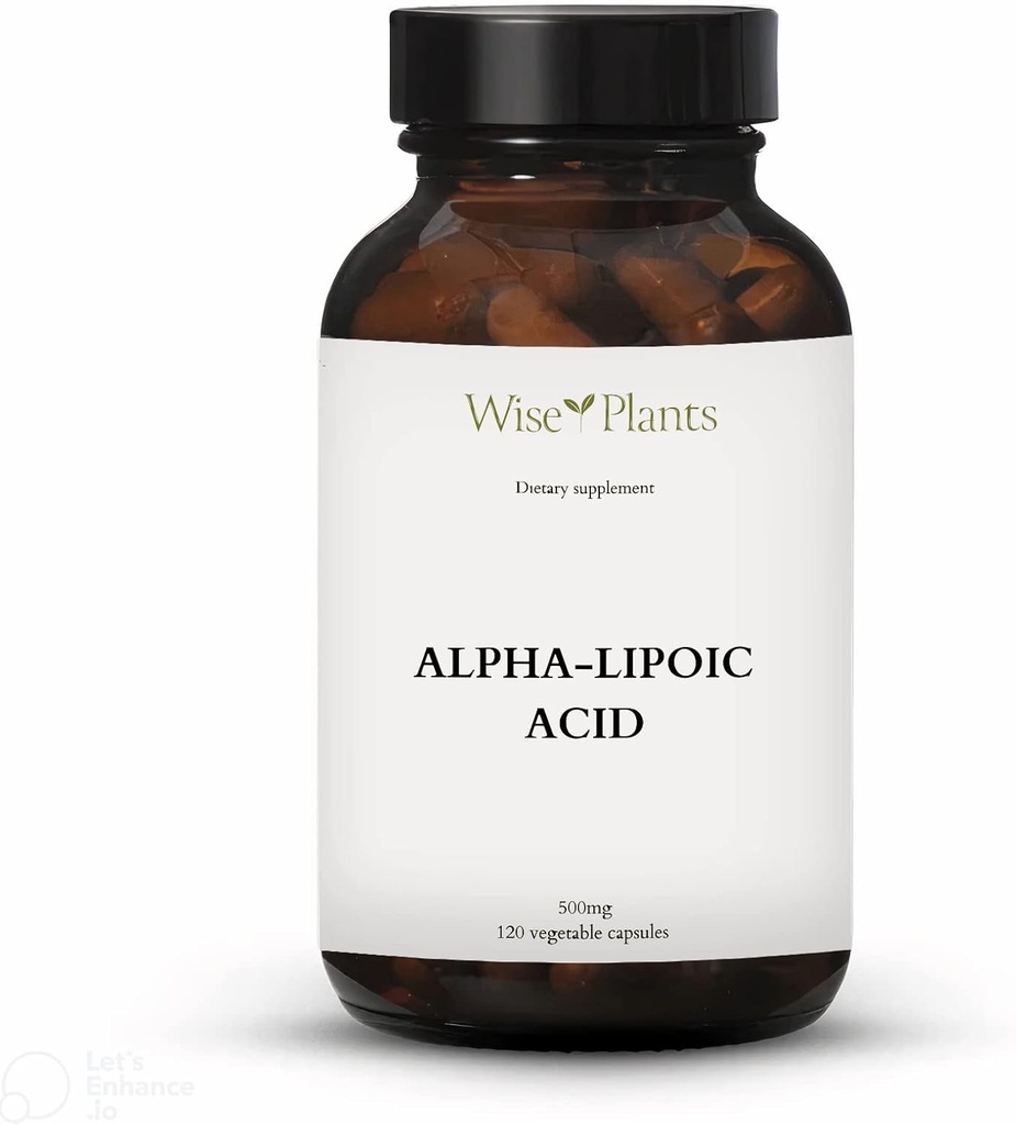 Alfa-Lipoic Acid - Non-GMO - 500mg, 120 Servings (4 mesiace dodávky), Energetické hladiny, Mitochondria Support