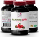 antioxidant doplnok pre ženy - HAWTHORN BBERRIES EXTRACT - Hawthorn extrakt doplnok, bobule doplnok, antioxidant bobule, divoké bobule energie, hawthorn energetické pilulky pre ženy 1 Bot 60 Kapsule