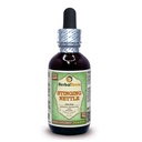 Rastlinná tera LLC Stinging Nettle (Urtica Dioica) Glycerit, Organicky sušené listy bez obsahu alkoholu Tekutý extrakt 2 oz