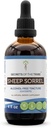 Ovce Sorrel Tinktúra bez alkoholu extrakt, ovčie sorrel (Rumex Acetosella) sušené bylinné tinktúra doplnok 4 oz
