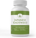 Pure Original Ingredients Japanese Knotweed, (100 Kapsule) Always Pure, No Aditives or Fillers, Lab Overified