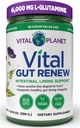 Vital Planet - Vital Gut nový prášok doplnok pre pestré Gut opravy s L-Glutamine, Marshmallow a zázvor koreňov, DGL Licorice Root a organické Aloe Vera, L Glutamine 6000mg 13.76 oz