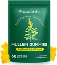 Mullein Gummies for Lung Cleans,Natural Mullein for Lung Cleans Support,Lung Cleanse for Smokers,Mullein Herbal Supplements with Chlorofyl (60 Žuvačky)