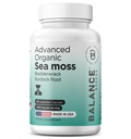 Organic Irish Sea Moss, Bladderwrack & Burdock Root Supplement 1405mg, 60 Veg Kapsule - Immune Booster, Gut Health, Skin Detox & Joint Support (60 počet (Pack of 1))