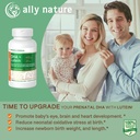 Vegan Prenatálna DHA 440mg 