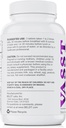 BELDT Labs VASST Nitric Oxide Booster, N.O. Supplement with Over 3000mg of Arginine-AKG, OKG, GKG, and L-Arginine HCL for Muscle Building and Enhanced Vaterality - 90 Tablets