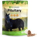 Strieborné ľanové byliny Pituitary Gland Doplnky pre kone - Konské doplnky pre Equine Metabolic Support, Cowing