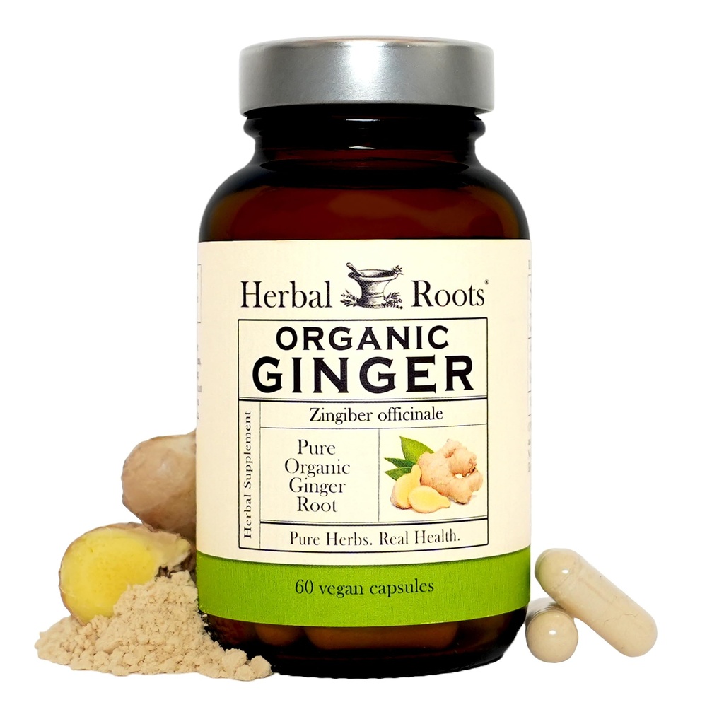 Bylinné korene Ginger Supplement 