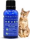 HA4E - Cat UTI Remedy - Prírodná podpora obličiek pre mačky - podporuje močový mechúr a močové zdravie - Renálne čistenie - non-GMO, Organické, Chemické - 300 Tablety