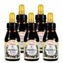 Oficiálny distribútor - 5 fliaš Apiario Silvestre Brazílskej zelenej včely Propolis Liquid Glycolic Extract-non Alkoholické, bez voskov, bez cukru (PG)