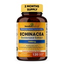SANDHUHERBALS Sandhu Herbals Echinacea Goldenseal 1000 Mg 120 Kapsule 