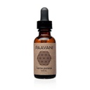 PAAVANI Ayurveda olej z uší - Made in USA - Ayurvedic bylinné kvapky do ucha - Svrbenie ucha a úľava od uší - 100% Organic, 1 oz