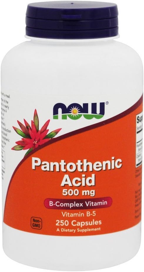 Teraz Foods Kyselina pantoténová, 250 caps / 500 mg (balenie 2)